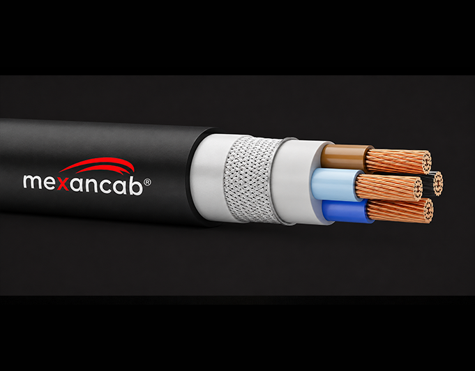 N2XRY Cable