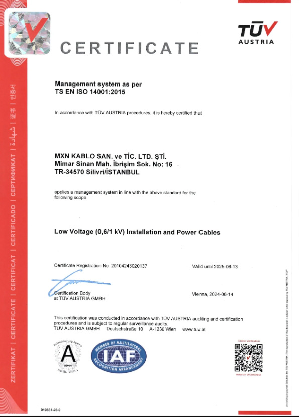 ienet