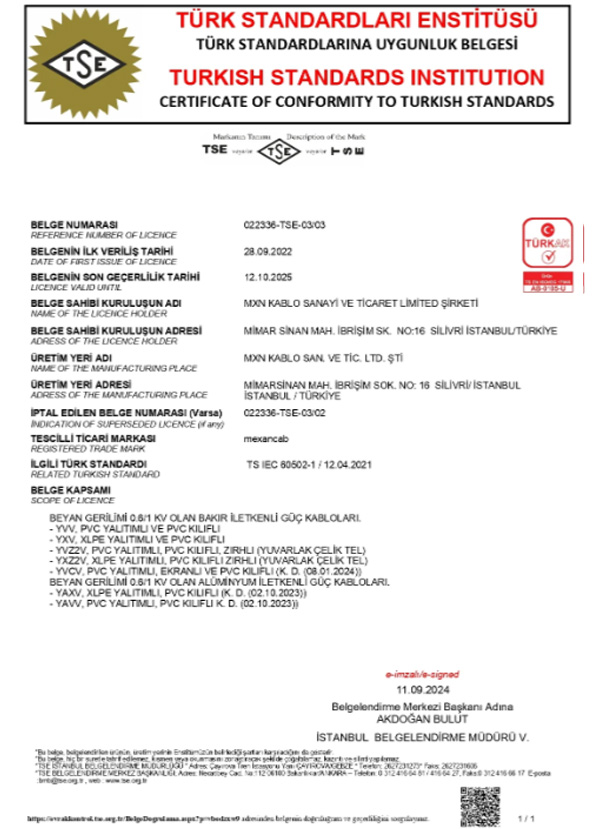 ienet